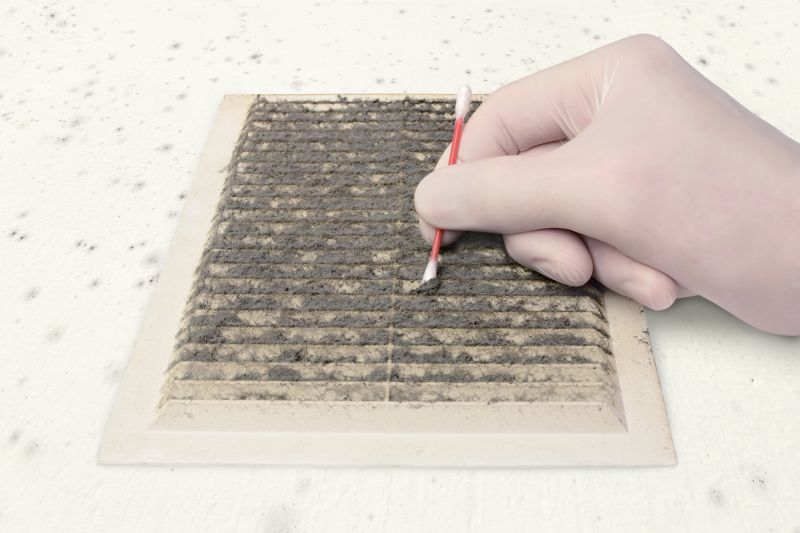 Air Duct Mold Removal in Frisco, TX