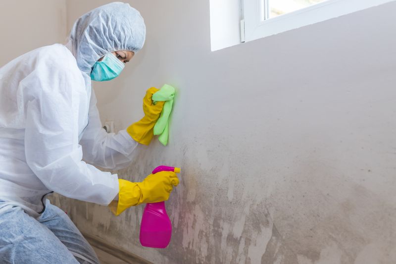Air Duct Mold Removal in Fort Lauderdale, FL
