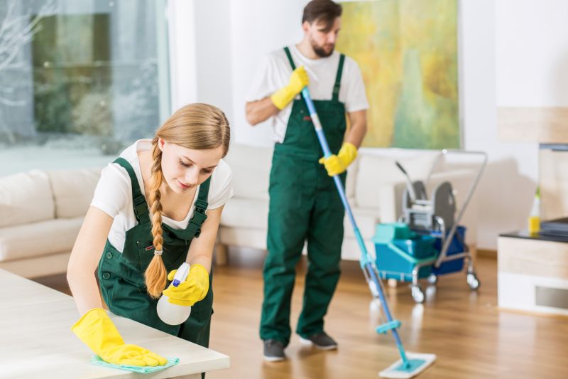 Apartment Cleaning Service in Bellevue, WA