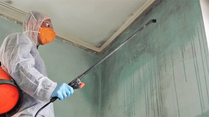 Attic Mold Remediation in Broward County, FL