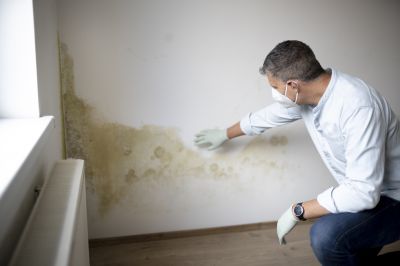 Attic Mold Remediation in Essex County, NJ