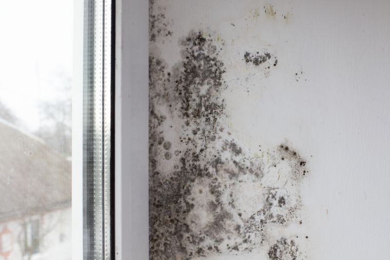 Attic Mold Removal in Bergen County, NJ