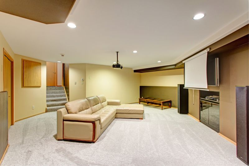Basement Cleaning Service in Frisco, TX