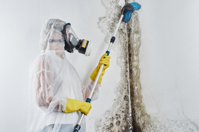 Basement Mold Remediation in Bergen County, NJ