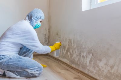 Basement Mold Remediation in Fort Worth, TX