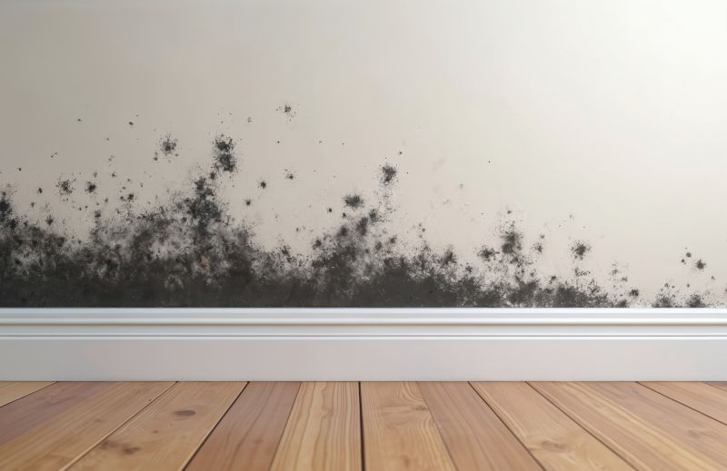 Black Mold Remediation in Essex County, NJ