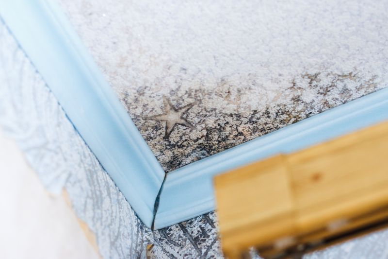 Black Mold Remediation in Jupiter, FL
