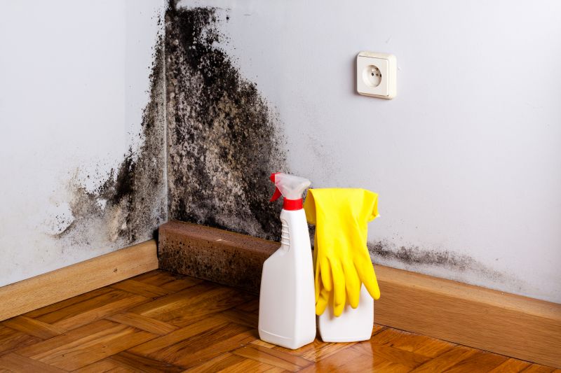 Black Mold Remediation in Fort Worth, TX