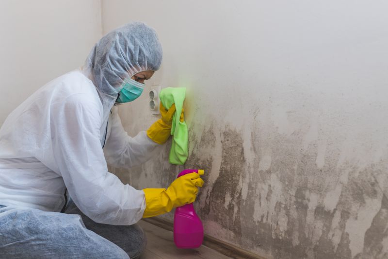 Black Mold Remediation in West Palm Beach, FL