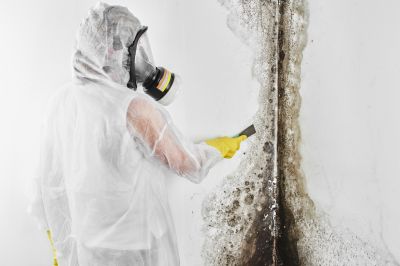 Black Mold Removal in Boca Raton, FL