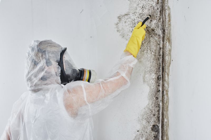 Black Mold Removal in Mckinney, TX