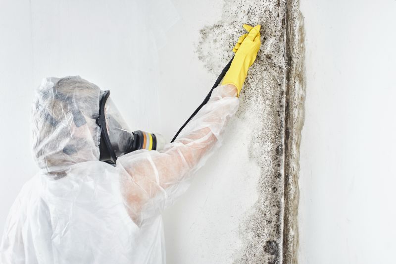 Black Mold Removal in Delray Beach, FL