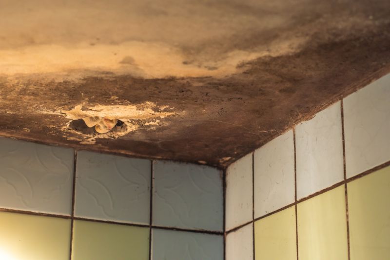 Ceiling Mold Removal in West Palm Beach, FL