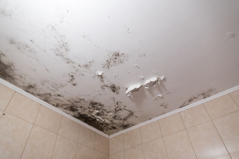 Ceiling Mold Removal in Fort Lauderdale, FL