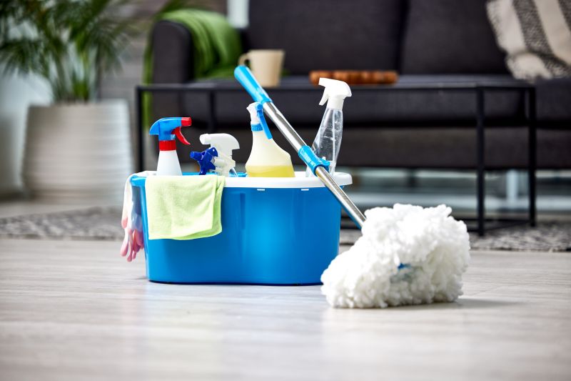 Condo Cleaning in Redmond, WA