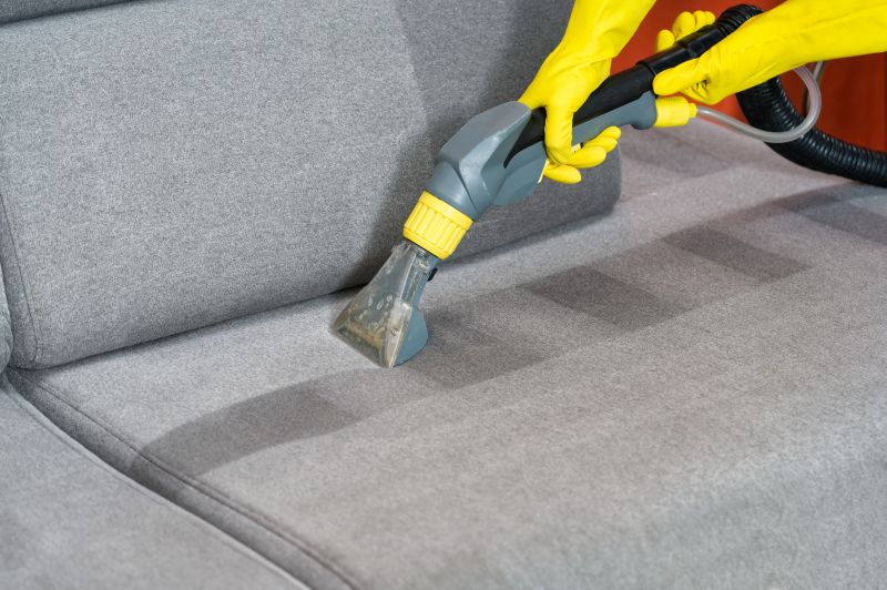 Couch Cleaning Service
