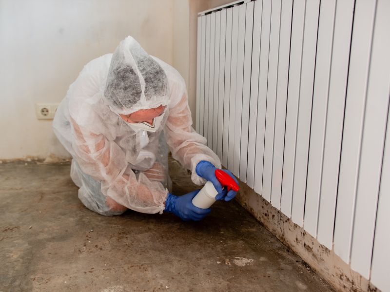 Crawl Space Mold Removal in Jupiter, FL