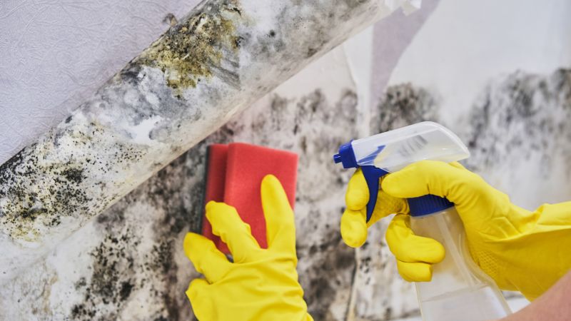 Crawl Space Mold Removal in Bergen County, NJ