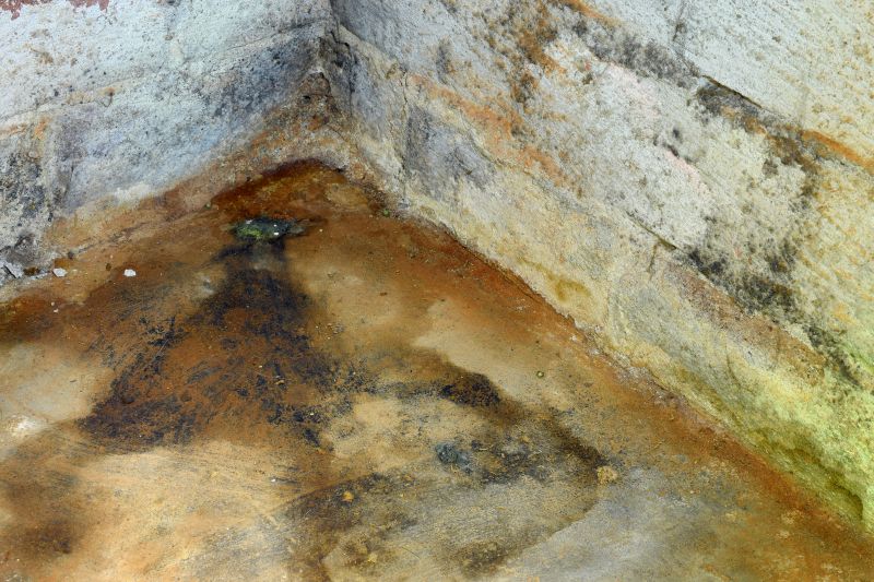 Crawlspace Mold Remediation in West Palm Beach, FL