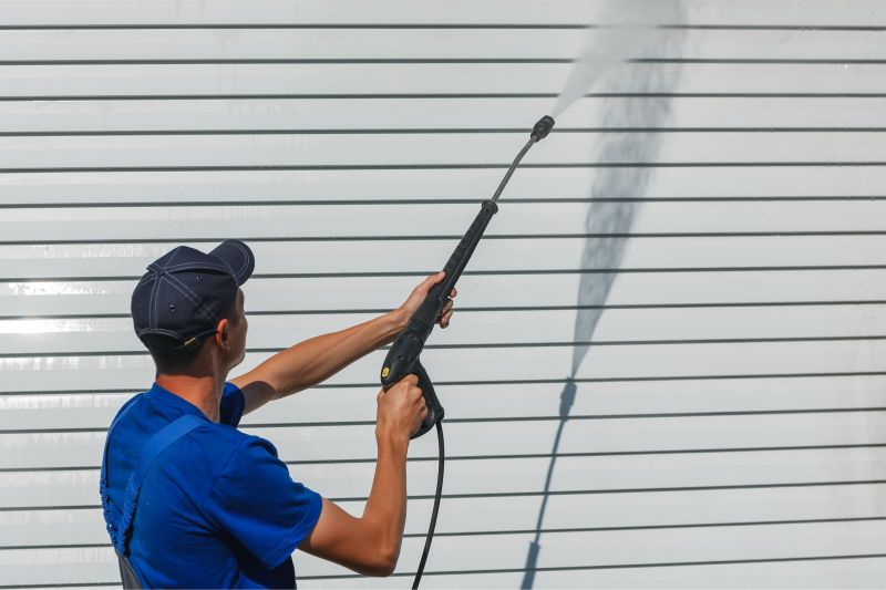 Wall Cleaning Service detail