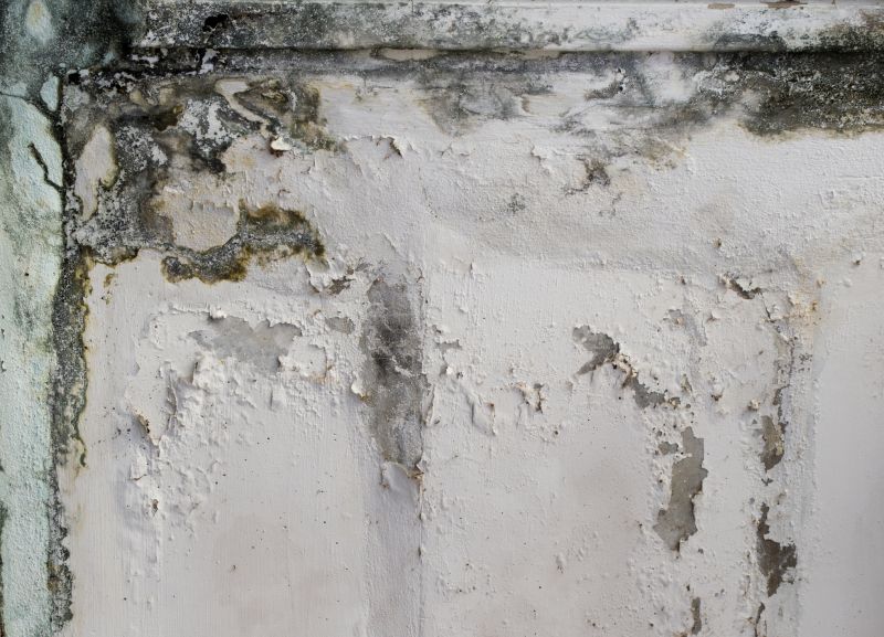 Garage Mold Remediation in Dallas, TX
