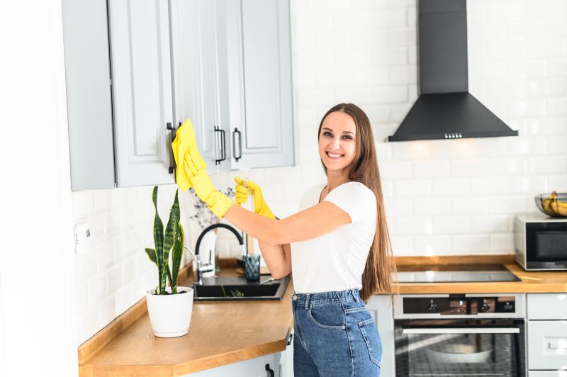 Kitchen Cleaning in Redmond, WA