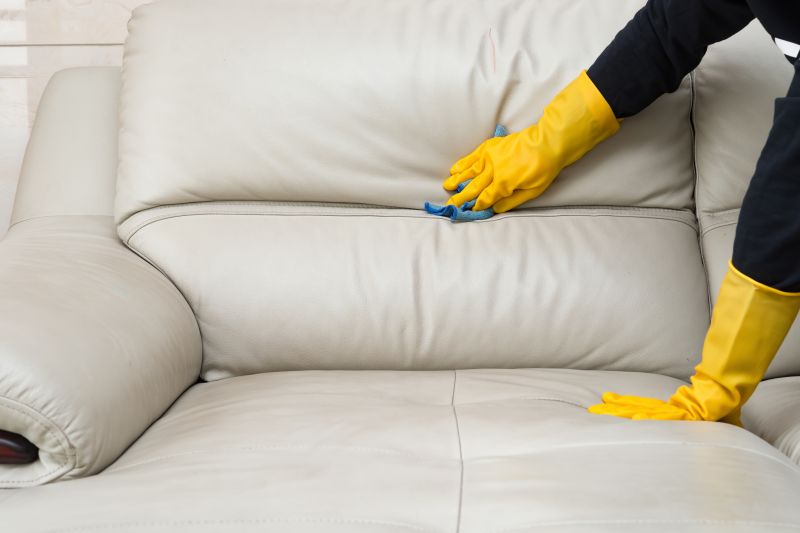 Loveseat Cleaning in Sanford, FL