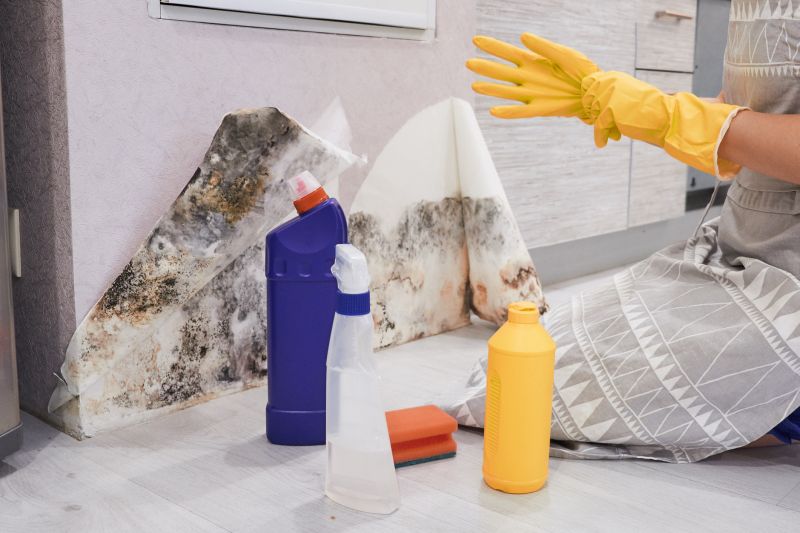 Mold Abatement Service in Frisco, TX