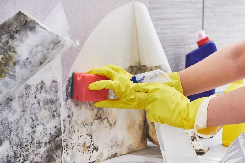 Mold Cleanup Service in Fort Lauderdale, FL