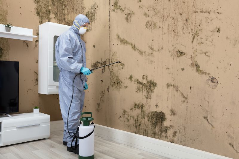 Mold Control in Plano, TX