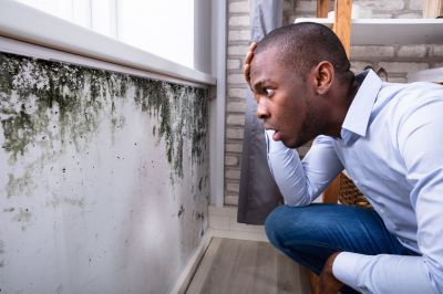Mold Inspection And Removal in Fort Worth, TX
