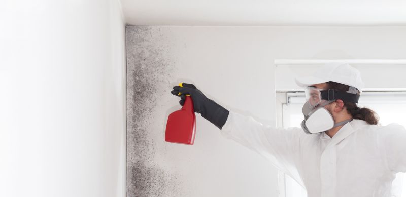 Mold Mitigation Service in Bergen County, NJ