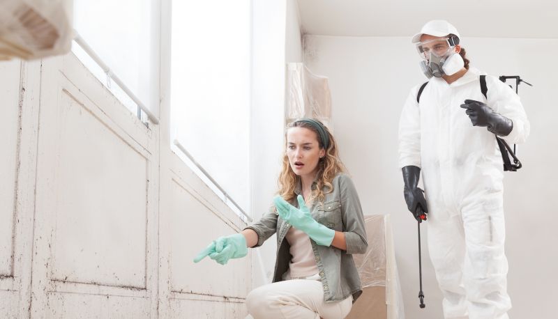 Mold Remediation Service in Essex County, NJ