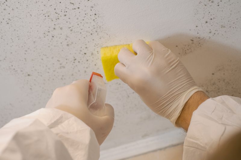 Mold Remediation Service in Fort Lauderdale, FL
