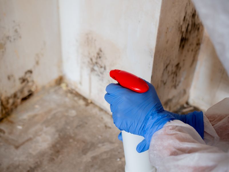 Mold Remediation Service in Bergen County, NJ