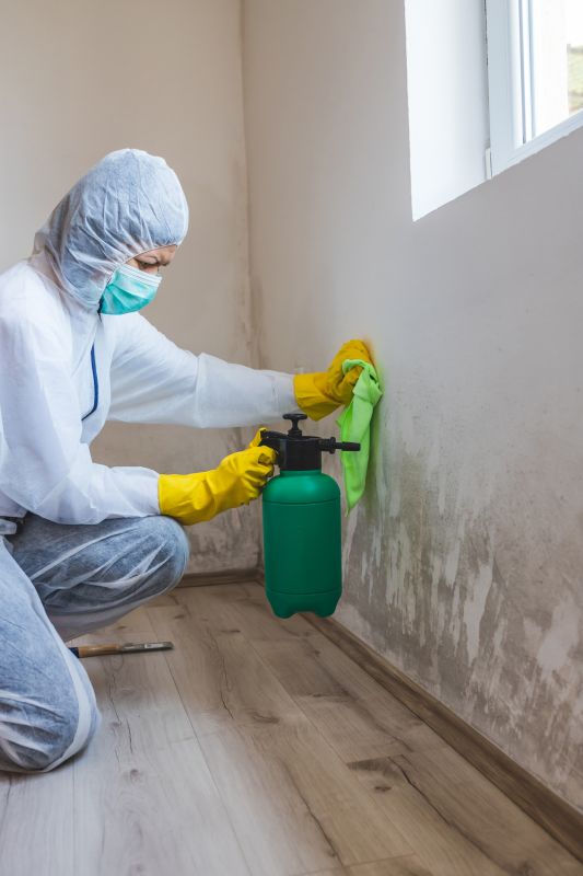 Mold Remediation Service in West Palm Beach, FL