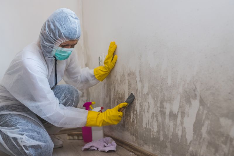 Mold Removal in Jupiter, FL
