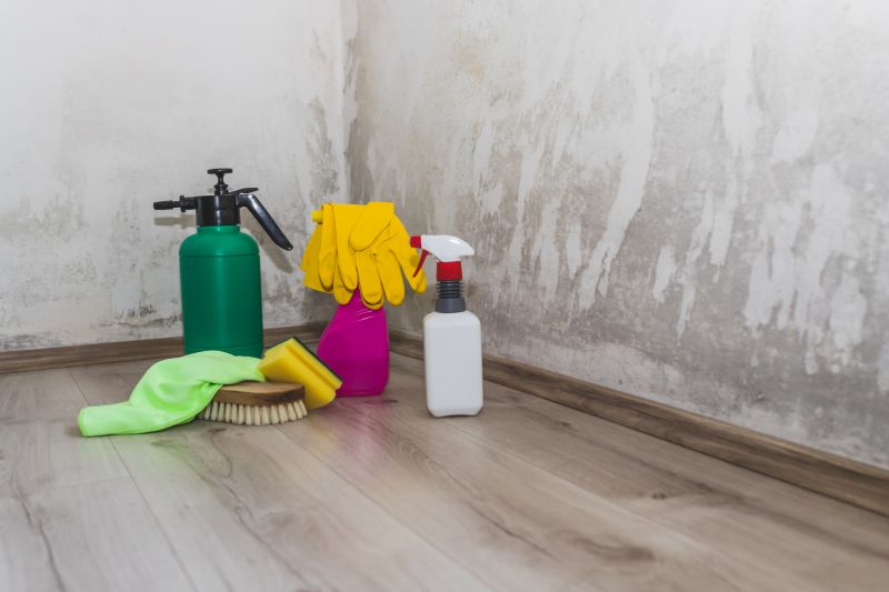Mold Removal in Fort Lauderdale, FL