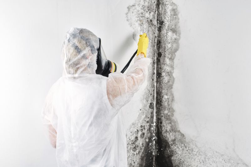 Mold Removal in Fort Lauderdale, FL