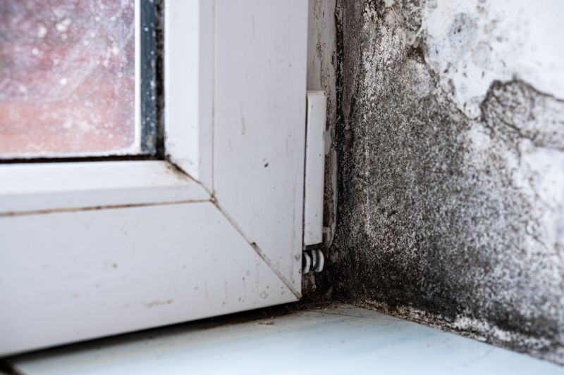Mold Restoration in Boca Raton, FL