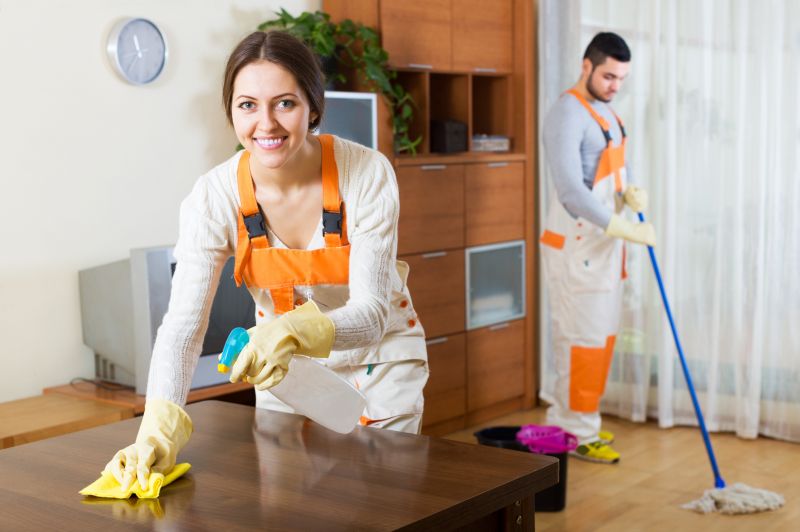 Reo Property Cleaning in Kent, WA