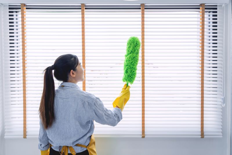 Townhouse Deep Cleaning in Bellevue, WA