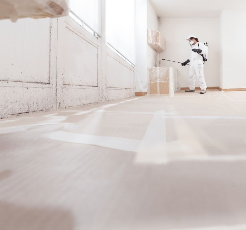 White Mold Mitigation in Bergen County, NJ
