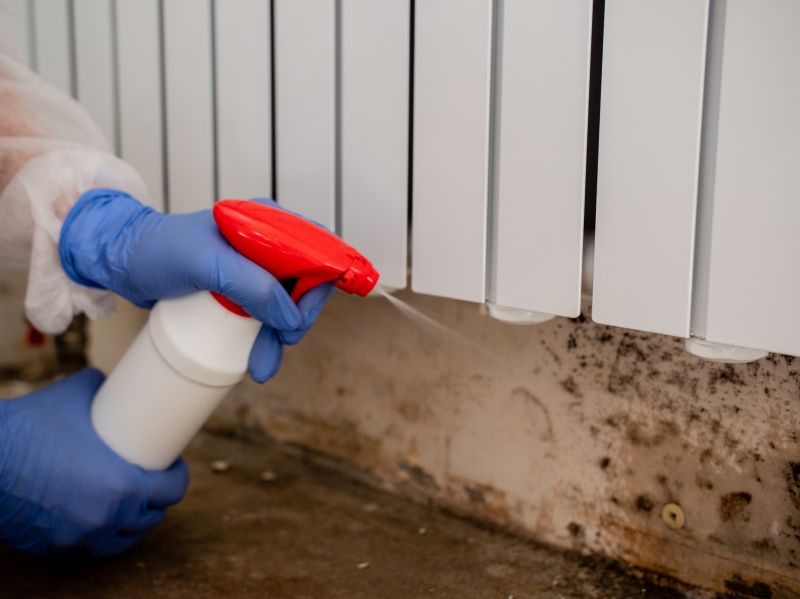 White Mold Mitigation in Bergen County, NJ