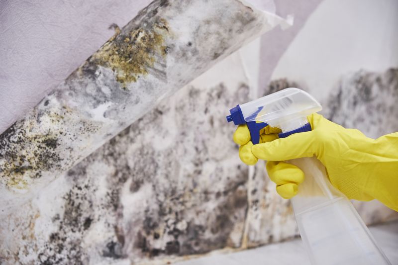Mold Prevention